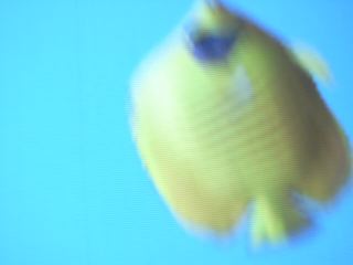 dscn0010