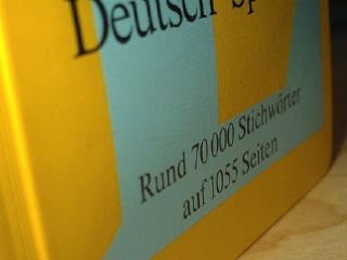 gelb_p1010396