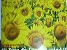 dscn0010_1