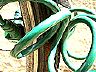 gruen_p1010450