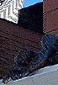 schwarz_abt_004